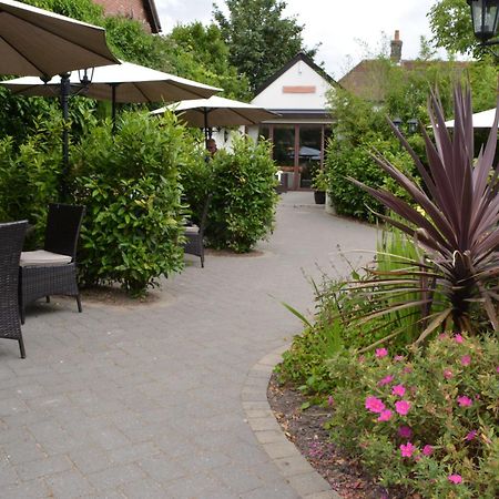 Greyhound Inn Winterborne Kingston Ngoại thất bức ảnh